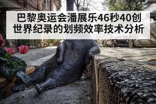 巴黎奥运会潘展乐46秒40创世界纪录的划频效率技术分析